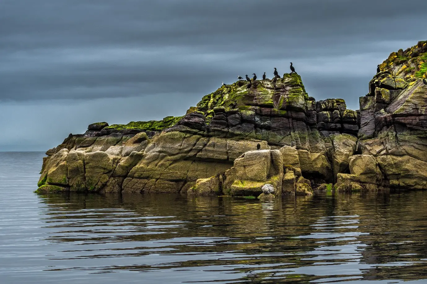 Rocky island with birds on it