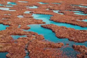 Close up image of Flow County peat bogs at Forsinard, Scotland