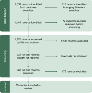 PRISMA flow diagram showing the study selection process for this systematic review. The diagram details the number of records identified, screened, excluded, and included at each stage of the review