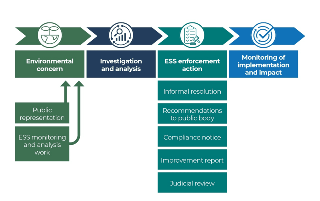 Flowchart showing process for scrutinising environmental concerns