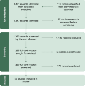PRISMA flow diagram showing the study selection process for this systematic review. The diagram details the number of records identified, screened, excluded, and included at each stage of the review